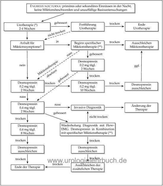 Flussdiagramm: Therapie der Enuresis