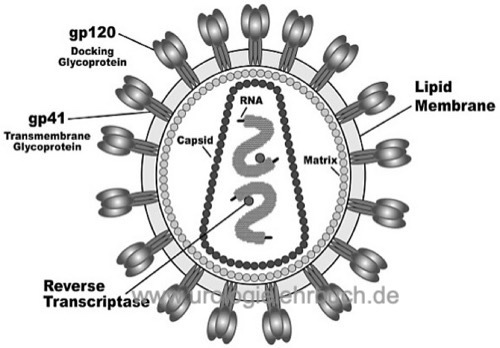 HIV Virus AIDS Erreger