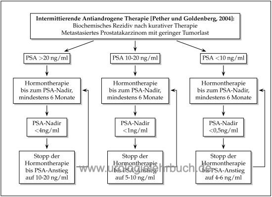 Diagramm oder Flowchart: Intermittierende Hormontherapie des Prostatakarzinoms