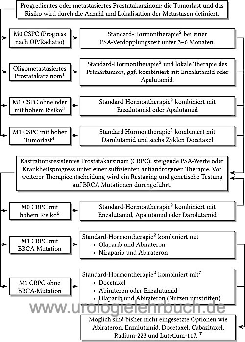 Flowchart oder Diagramm: Hormontherapie des metastasierten Prostatakarzinoms