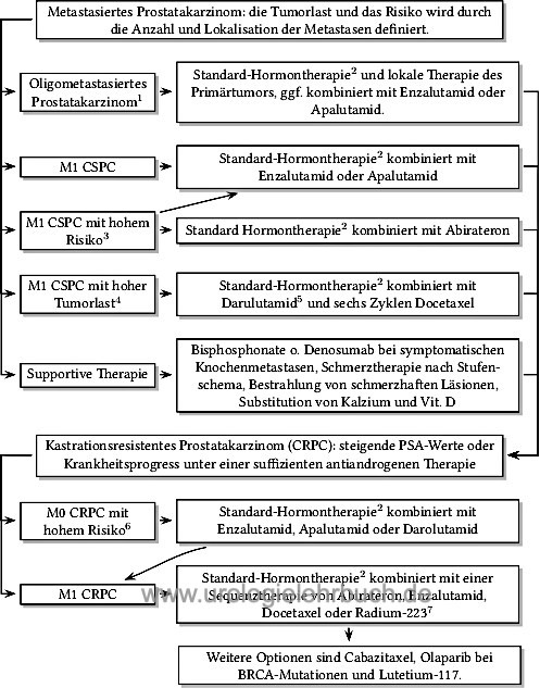 Flussdiagramm: Hormontherapie des metastasierten Prostatakarzinoms