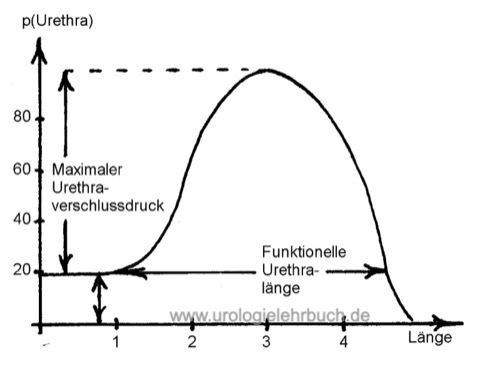 Urethradruckprofil bei Frauen