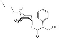 Anticholinergika wirken antagonistisch zu Actylcholin (Strukturformel)