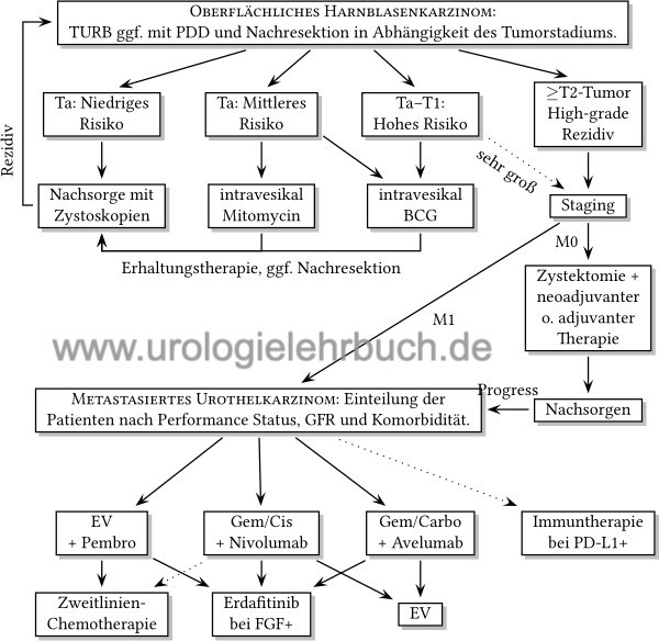 Harnblasenkarzinom Therapie Flussdiagramm