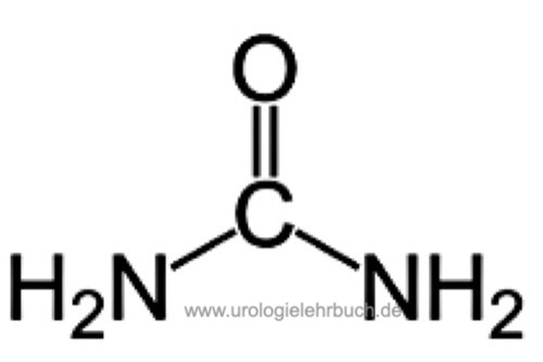 chemische Strukturformel von Harnstoff