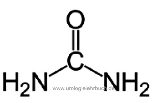 https://www.urologielehrbuch.de/01/harnstoff.jpg