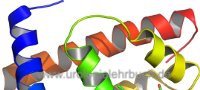 Proteinketten 3D Modell von Proteinketten
