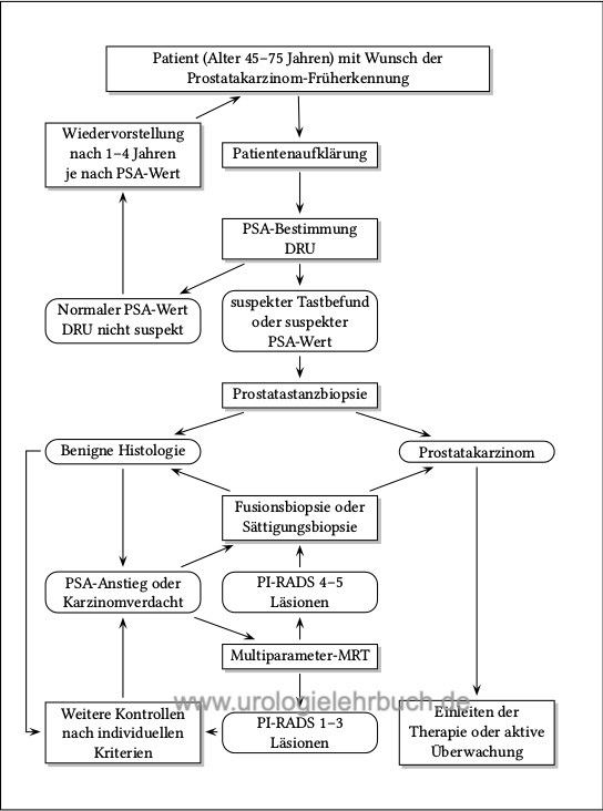 prostatakarzinom leitlinie)